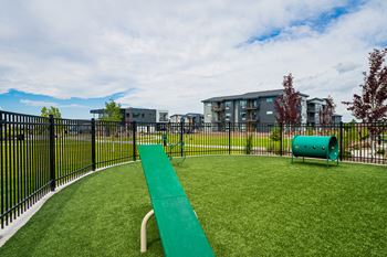 Dog parks with dog agility equipment